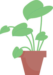 Houseplant in flowerpot. Green plant. House decoration icon