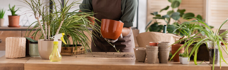 cropped view of african american florist transplanting plants on wooden desk in flower shop, banner