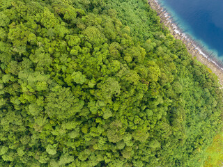 A lush, tropical island is fringed by a coral reef in the Solomon Islands. This beautiful country...