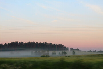 Morning landscape from the road in the Latvian forest