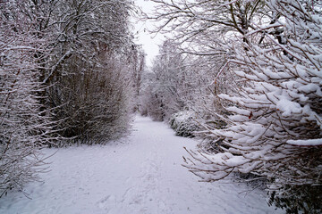 a wintery landscape of the scenic Bavarian countryside in Schwabmuenchen with trees covered with...