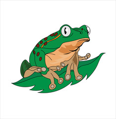 Frog mascot vector illustration on white background