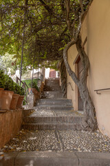 Alhambra de Granada. Palace and fortress of Granada. Ramparts, interiors, buildings, towers,...