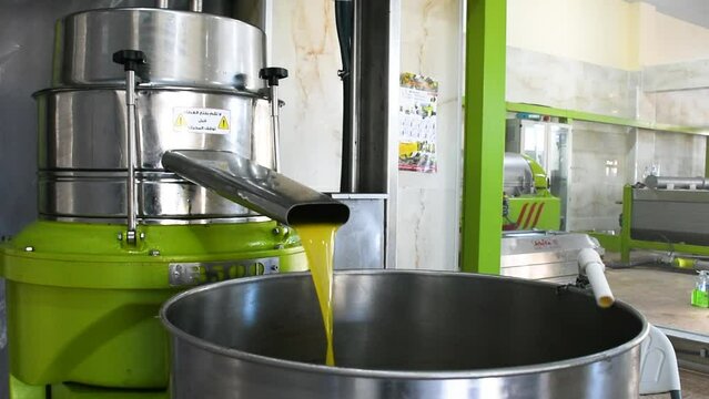 Extra virgin olive oil liquid flow from the extraction machine.