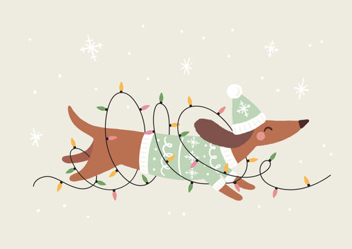 Funny Holiday Vector Illustration With Dachshund Wearing Warm Hat and Green Sweater. Cute Dog Running Tangled In Christmas Lights. Hand Drawn Graphic Design Ideal For Winter Greeting Card Or Poster.
