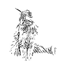 black and white drawing sketch of a cat with a transparent background