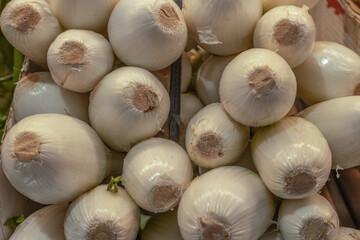 Close up of fresh white onions. White onions in the market. Mediterranean food. Fresh white onions background for graphics designers.