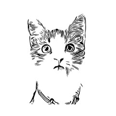 Obraz premium black and white drawing sketch of a cat with a transparent background
