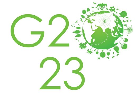 2023 G20 in INDIA