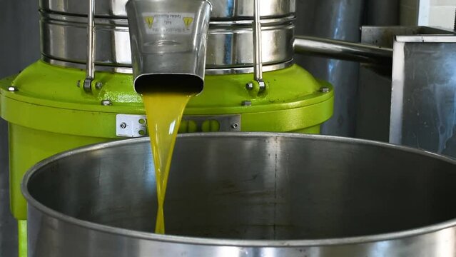Extra virgin olive oil liquid flow from the extraction machine in Setif, Algeria.