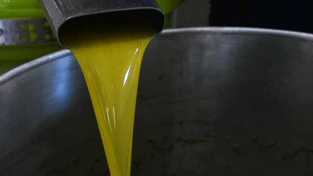 Extra virgin olive oil liquid flow from the extraction machine in Setif, Algeria.