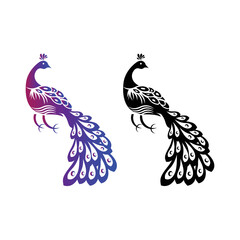 Peacocks Vector Design Couple birds