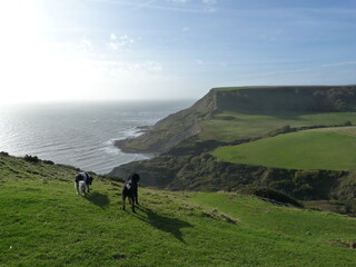 Chapman's Pool, Angleterre