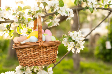 Happy Easter. Basket with Easter eggs in grass on a sunny spring day - Easter decoration, banner, panorama, background with copy space for text