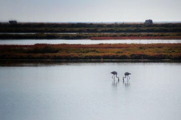 reserva natural de aves