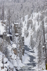 Scenic Snow Covered Landscape in Yellowstone National Park Wyoming in Winter