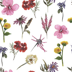 Hand drawn. Watercolor illustration. Pastel color. Wild flower. White background. Cute cartoon. For home textile, clothes design and other texture.