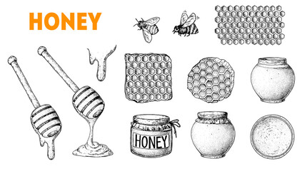 Honey hand drawn vector illustration. Healthy food illustration. Design elements. Hand drawing collection. Honeycomb, jar of honey, honey dipper sketch.