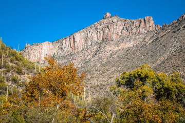 Sabino Canyon Catalina Mountains Landscape in Arizona