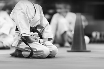 Black and white martial arts background with shallow depth of field and motion blur effect. The...