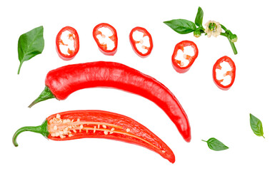 Pepper bitter isolated on a white background , top view