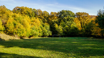 Fototapeta premium autumn in the park