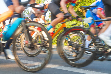 Group of Cyclists During a Race