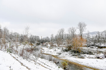 M&uuml;nchenstein, Birs, Fluss, Birstal, Baselland, Arlesheim, Reinach, Wald, Waldweg, Auwald, Uferweg, Wanderweg, Renaturierung, Winter, Winterlandschaft, Winterspaziergang, Eis, Schnee, Basel, Schweiz 