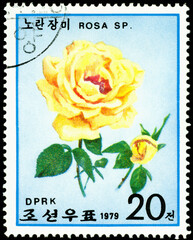 Vintage  postage stamp. The Flowerses of the yellow rose.