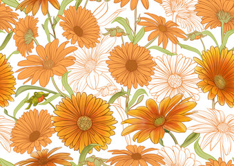 Calendula medicinal herbs and flowers seamless pattern, background. Vector illustration.
