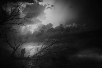 Dark autumn landscape showing a dramatic stormy sky, silhouettes of trees on a desolate plain, and...