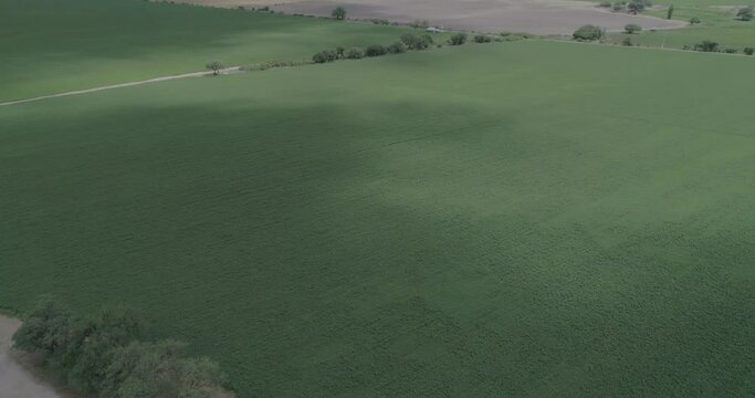 campos de agricultura