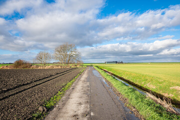 Fototapeta na wymiar Country road in wide open Dutch landscape