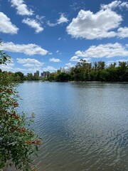 Beautiful pond landscape, trees in park in Buenos Aires, nature, traditional cultural architecture at sunny day and blue sky, Argentina