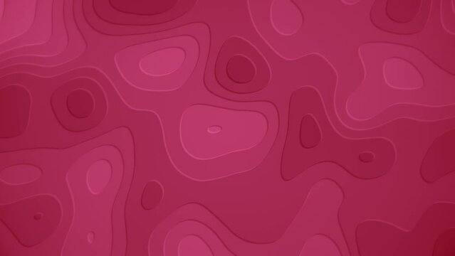 Magenta topographical map styled motion background animation with gently morphing organic shapes. Full HD and a seamless loop.