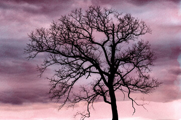 Fototapeta na wymiar Bare Tree Silhouette With Pink And Blue Watercolor Background
