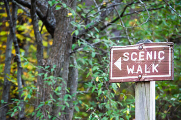 Sign that reads "Scenic Walk" with forest in background