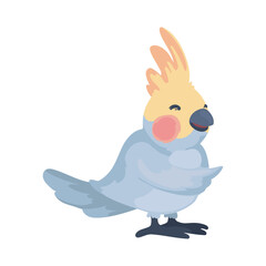 cute bird illustration