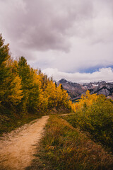 Fototapeta na wymiar Landscape of sceneic views in Telluride, Colorado in the fall with colorful aspen trees, gondola, and purple mountain background