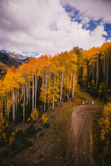 View from a gondola of tall aspen trees and people walking, scenic views in Telluride, Colorado in the fall