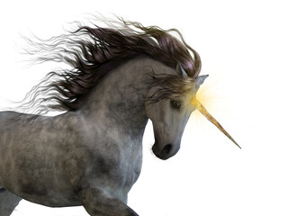 A 3d digital render of a unicorn with golden magic horn on a transpaarent background. © Elle Arden 