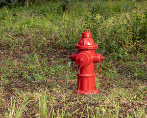 Fototapeta na wymiar A bright red water hydrant with green vegetation. 