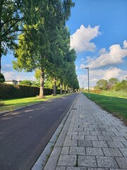 An asphalt road with brick path on the side