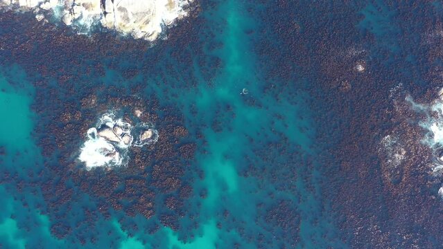 Aerial drone footage showcases the stunning coastline of South Africa capturing the crystal clear waters and rocky shores
