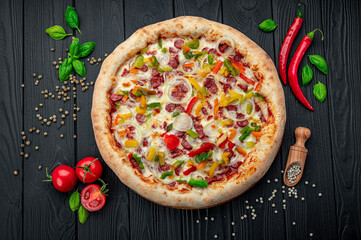 Tasty and big pizza with different types of meat