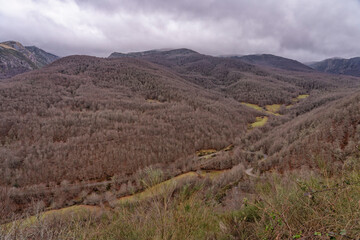 Forests of Posada de Valdeon in the Picos de Europa National Park in Spain