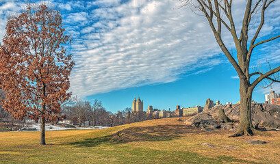 Central Park in winter
