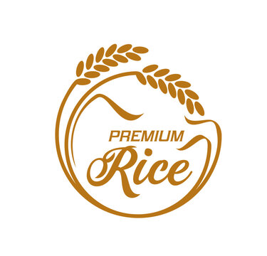 Rice icon, vector emblem with round frame of cereal stalks and premium rice typography. Paddy rise organic natural product label, agriculture field production advertising, isolated element for package