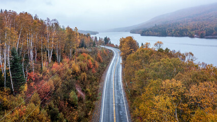 Autumn Colors in Forest, Drone view of Cape Breton Island, Forest Drone view, Colorful Trees in...