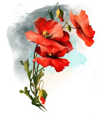 red poppies digital oil painting, watercolor backround